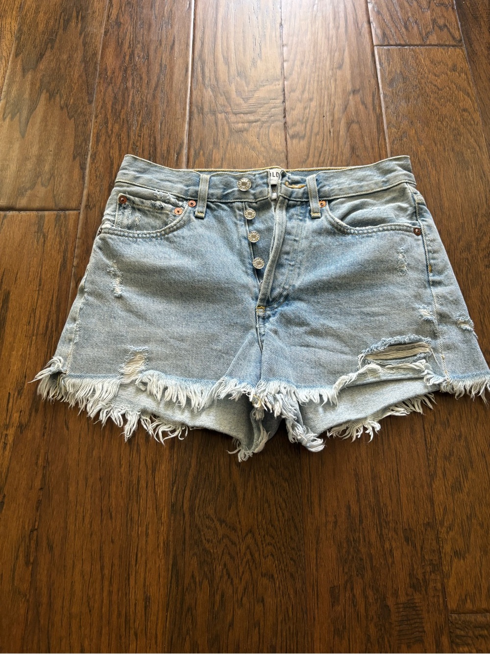 Agolde Parker Denim Shorts
